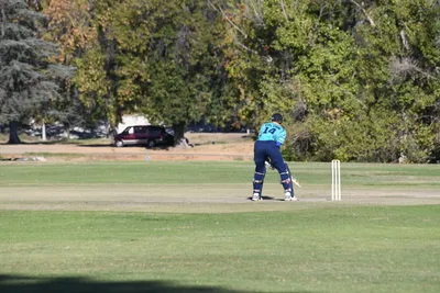 DSC_2345 (Large).JPG